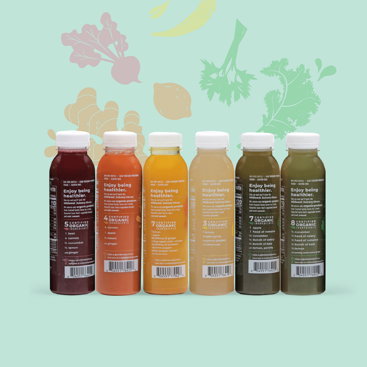 5 Day Juice Cleanse